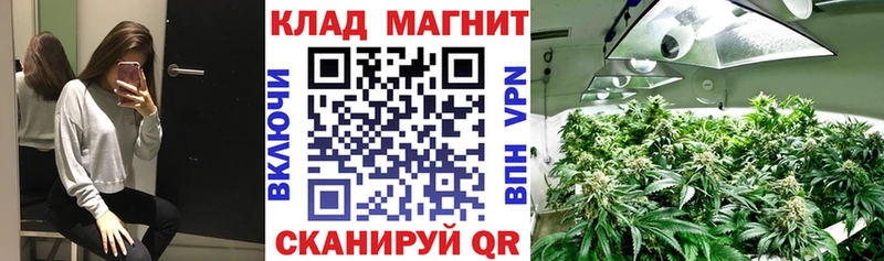 Купить наркотик Пласт Гашиш  СК  Мефедрон  Бошки Шишки  КОКАИН 