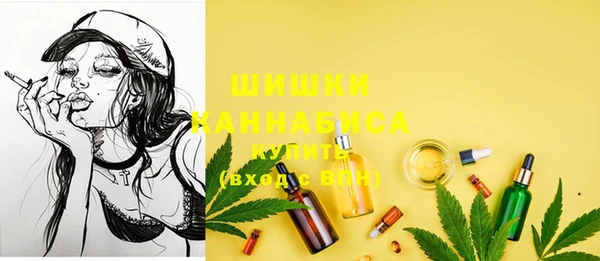 spice Няндома
